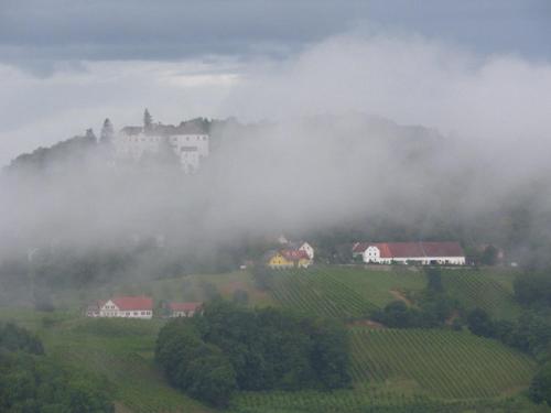 a village on a hill in the fog with houses and trees at Gästeapartement Schlossblick in Kapfenstein