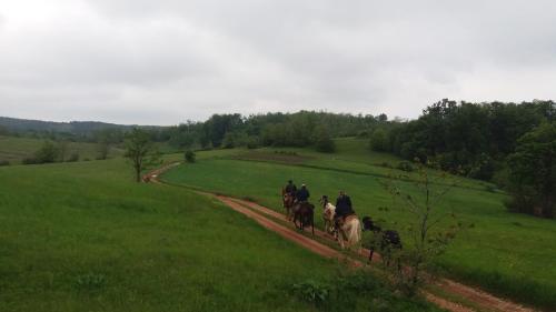 a group of people riding horses down a dirt road at Guest House Glogovac in Kamenica