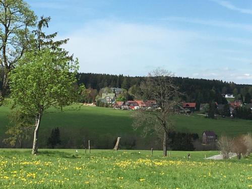 Naturlandskabet i nærheden af hotellet