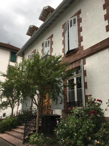 a house with a tree in front of it at La Villa Esponda in Saint-Jean-Pied-de-Port