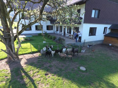 a group of animals in a yard next to a house at Pension Zenzlgut in Tiefgraben