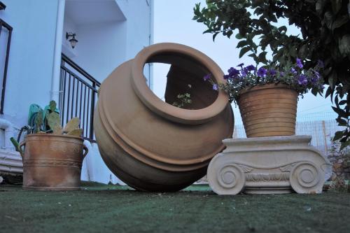a large vase with flowers in it next to two potted plants at Olympus Studios in Malia