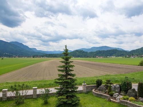 a tree in the middle of a field with a dirt road at Ferienwohnungen Blos in Grassau