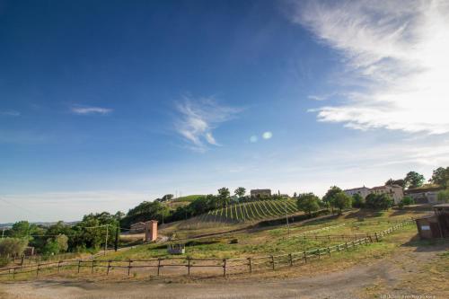 a hillside with a fence and a field of vines at Bio Agriturismo Poggio Aione in Saturnia