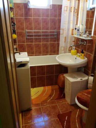 a bathroom with a sink and a toilet and a shower at Green Apartment in Odorheiu Secuiesc