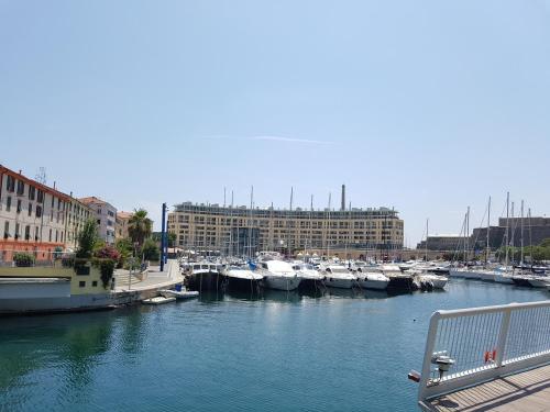 Φωτογραφία από το άλμπουμ του Appuntamento Al porto στη Σαβόνα