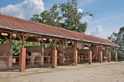a pavilion with cows in it in a field at Colmar Tropicale in Bukit Tinggi