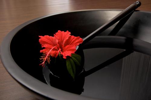 a red flower in a black bowl on a table at Colmar Tropicale in Bukit Tinggi