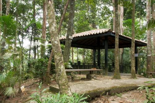 a wooden pavilion in the middle of a forest at Colmar Tropicale in Bukit Tinggi