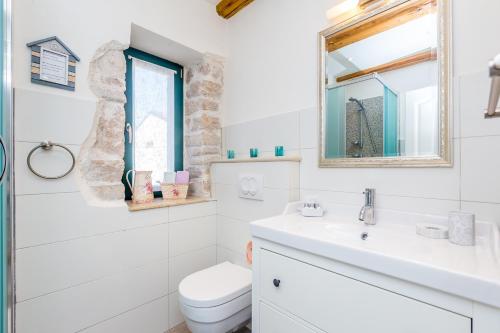 W łazience znajduje się umywalka toaletowa i lustro. w obiekcie Holiday House Kate w mieście Čižići