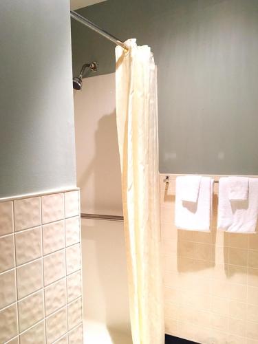 y baño con cortina de ducha y toallas. en Overton Motel, en Livingston