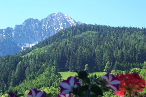 a view of a mountain with flowers in the foreground at Landhaus Seebacher in Spital am Pyhrn