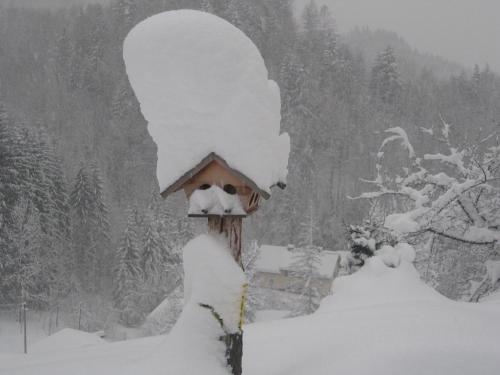 a bird house covered in snow in a forest at Landhaus Seebacher in Spital am Pyhrn