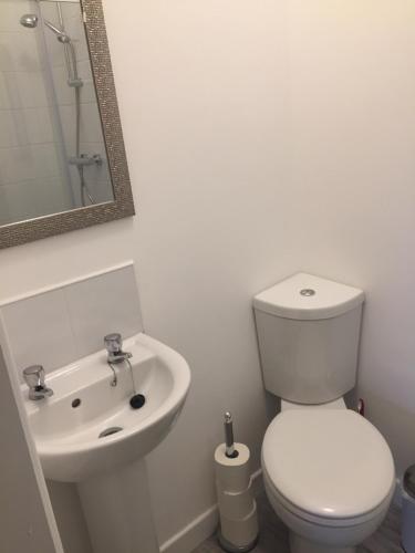 a white bathroom with a toilet and a sink at O'Loughlin's Bar in Miltown Malbay