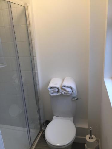 a bathroom with a toilet and a glass shower at O'Loughlin's Bar in Miltown Malbay