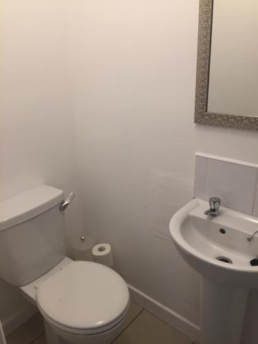 a white bathroom with a toilet and a sink at O'Loughlin's Bar in Miltown Malbay