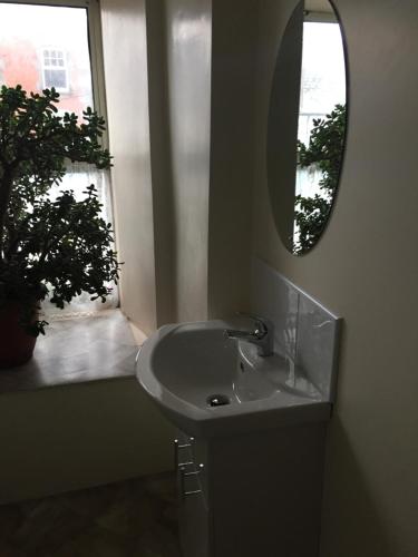 a bathroom with a sink and a mirror and a window at O'Loughlin's Bar in Miltown Malbay