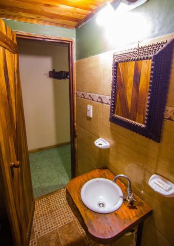 a bathroom with a sink and a mirror at Posada Los Tajibos in Puerto Iguazú