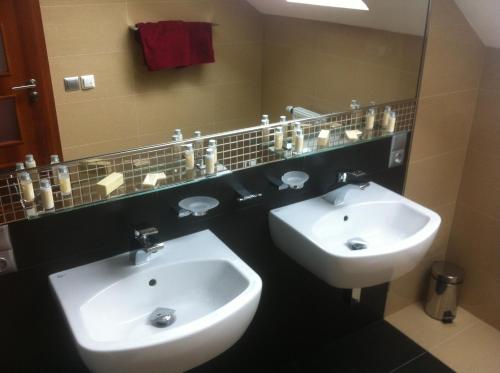 Un baño de Hotel Krušnohorský Dvůr