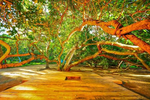 a painting of a wooden path under a tree at Handun Villas in Talalla