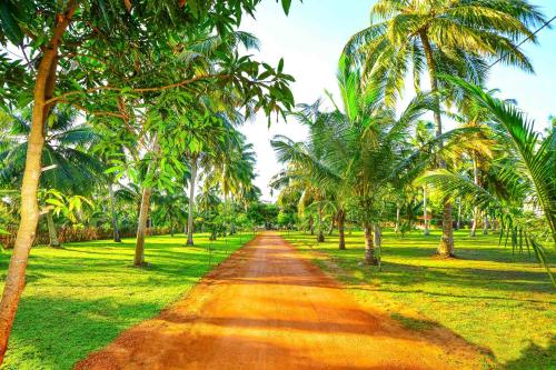 a dirt road lined with palm trees in a park at Handun Villas in Talalla