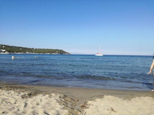 Gallery image of Pericles Studios in Agia Marina Aegina