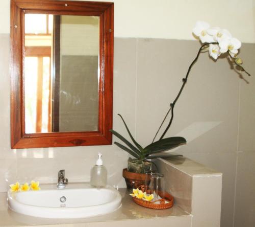 a bathroom sink with a potted plant and a mirror at Amed Kunara Guest House in Amed