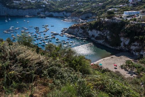 Φωτογραφία από το άλμπουμ του Magi - Appartamenti Maga Circe σε Ponza