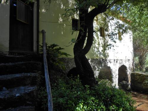 Gambar di galeri bagi Watermill Moinho Garcia di Pinheiro da Bemposta