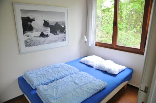 Hastière-par-delàにあるVillage de vacances Waulsortのベッドルーム(青いベッド1台、窓付)