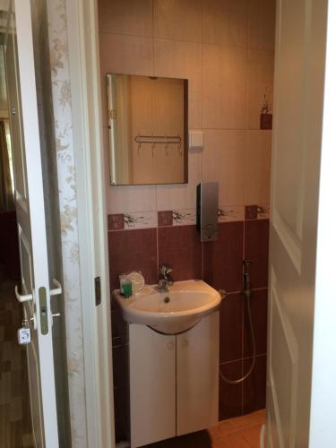 a bathroom with a sink and a mirror and a shower at Lana House in Pärnu