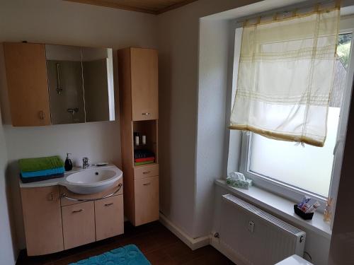 a bathroom with a sink and a mirror and a window at Vermietung Ronner in Vordernberg