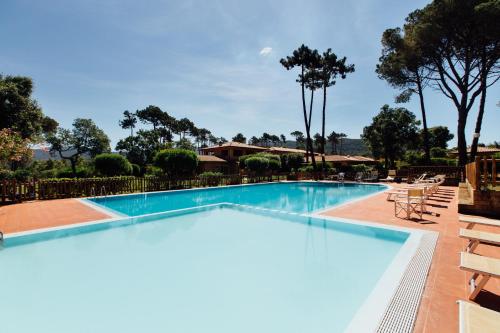 uma grande piscina com cadeiras e árvores em Residence Renaione em Punta Ala