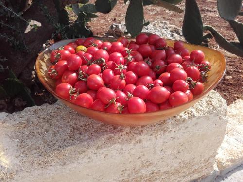 Gambar di galeri bagi Masseria Centro Colonico B&B di Torre San Giovanni Ugento