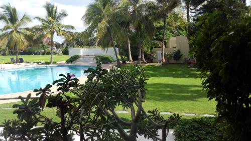 un patio con piscina y palmeras en The Meadows Resort and Spa, en Aurangabad