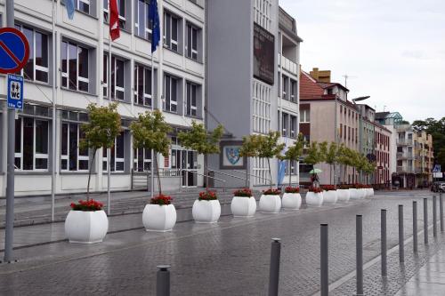 a row of white planters with plants in them on a street at Apartament 1Maja in Koszalin