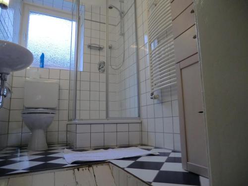 łazienka z toaletą, prysznicem i oknem w obiekcie Fachwerkhaus Julius w mieście Lehrte
