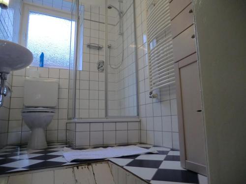 a bathroom with a toilet and a shower and a window at Fachwerkhaus Julius in Lehrte