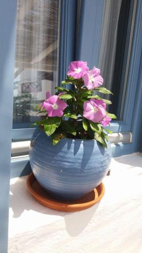 a blue vase with pink flowers in a window at Artemis Rooms in Chora Folegandros