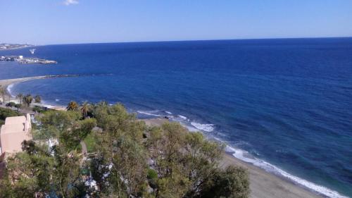 マルベーリャにあるApartamento Mediterraneo 1Dの木々と海の海岸の空中風景