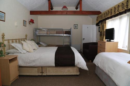 Un dormitorio con dos camas y un televisor. en Ladywood House Bed and Breakfast, en Ironbridge