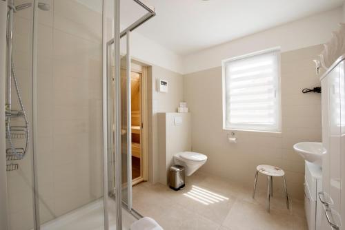 a bathroom with a shower and a toilet and a sink at Ferienhaus Küstensegler in Breege