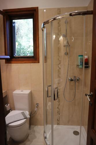 a bathroom with a shower and a toilet at Villa Magia in Ýpsos