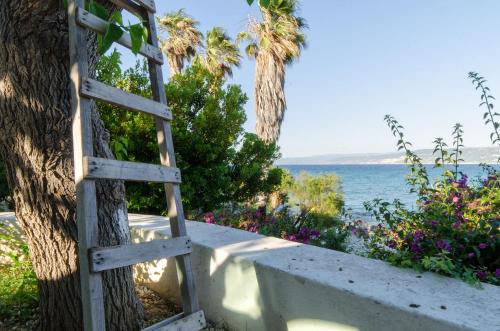 a ladder leaning against a tree next to the ocean at Residence Albatros in Briatico