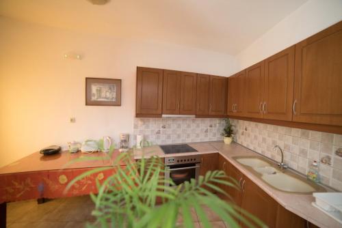 uma cozinha com armários de madeira e uma bancada em Bodikos Villas & Apartments em Pitsidia