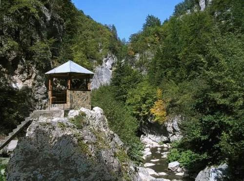 雅戈迪納的住宿－Yagodina Family Hotel，相簿中的一張相片