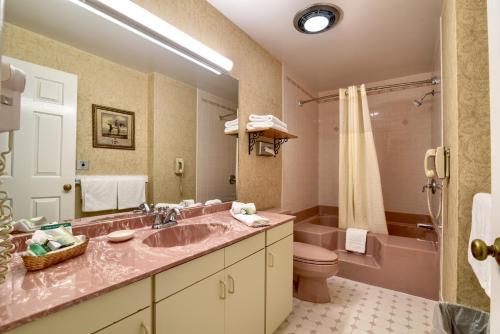 a bathroom with a pink sink and a toilet at Roosevelt Inn & Suites Saratoga Springs in Saratoga Springs