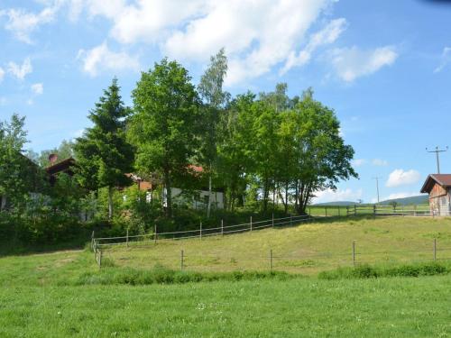 a field of grass with trees and a fence at Ferienwohnung Wildgatter in Grafenwiesen