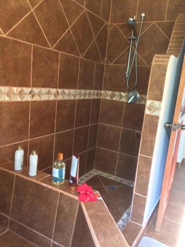 Bagno di La Villa Mexicana by Diving Prestige