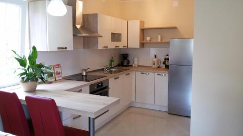 Kuchyňa alebo kuchynka v ubytovaní Apartman Viktorija